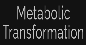 Metabolic Transformation Logo
