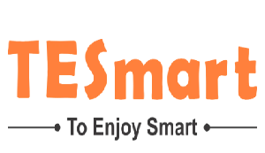 TESmart Logo