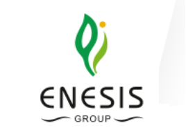 Enesis Logo