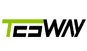 Tesway logo