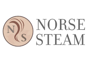 Norse Steam logo